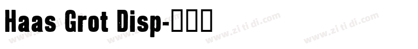 Haas Grot Disp字体转换